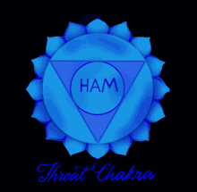 Throat Chakra Affirmation Affirmations GIF - Throat Chakra Affirmation Throat Chakra Affirmations GIFs