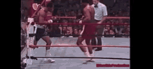 George Foreman Knockout GIF - George Foreman Foreman Knockout GIFs