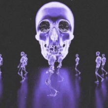 Skull Skeleton GIF - Skull Skeleton GIFs
