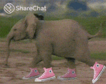 elephant %E0%A4%97%E0%A5%81%E0%A4%B2%E0%A4%BE%E0%A4%AC%E0%A5%80%E0%A4%9C%E0%A5%81%E0%A4%A4%E0%A5%87
