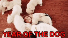 Year Of The Dog Chinese New Year GIF - Year Of The Dog Chinese New Year Dog GIFs