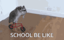 Racoon School Be Like GIF - Racoon School Be Like Bike Racoon GIFs