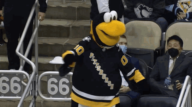 Pittsburgh Penguins Iceburgh GIF - Pittsburgh Penguins Iceburgh Dancing GIF...