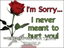 Im Sorry Never Meant To Hurt You GIF - Im Sorry Never Meant To Hurt You GIFs
