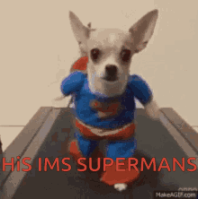 Super Pup Super Doggo GIF - Super Pup Super Doggo His Ims Supermans GIFs