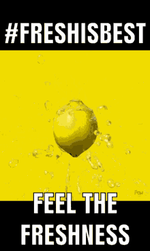 lemon freshness