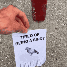 Pigeon Tired GIF - Pigeon Tired Funny GIFs