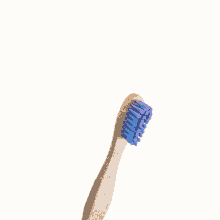 babu escova toothbrush