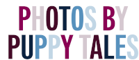 Puppytalesphotos Photography Sticker - Puppytalesphotos Puppytales Photography Stickers