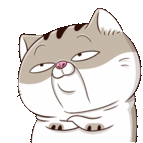 Ami Fat Cat Whatever Sticker - Ami Fat Cat Whatever Fine Stickers