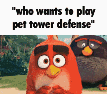 pet defense