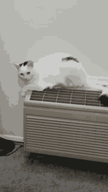 Ac White Cat GIF - Ac White Cat Aircon GIFs