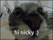 Hi Nicky GIF - Hi Nicky Hi Nicky GIFs