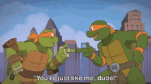 Tmnt Turtle GIF - Tmnt Turtle You Are GIFs