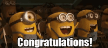 Congratulations! GIF - Congratulations Cheer Clapp GIFs