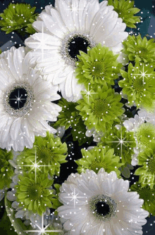 White Glittering Flower Whites GIF - White Glittering Flower Whites GIFs
