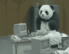 lol-office-panda.gif