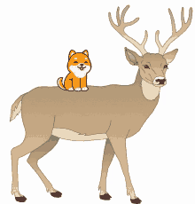 Shiba Deer GIF - Shiba Deer Gn GIFs