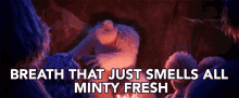 minty teeth