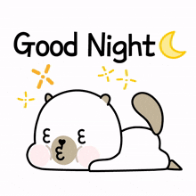 beaver white cute lovely good night