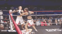 muay thai goal thaiboksen kickbox head kick muay thai goal thaiboksen kickbox head kick