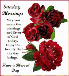 Sunday Blessings Have A Blessed Day GIF - Sunday Blessings Have A Blessed Day आपकादिनशुभहो GIFs