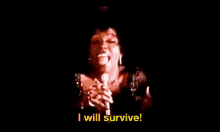 i will survive gloria gaynor survive survivial disco