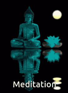Buddha Meditation GIF - Buddha Meditation Water GIFs
