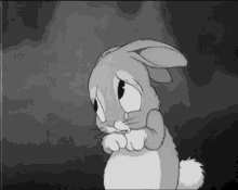 Sad Rabbit GIF - Sad Rabbit Tears GIFs