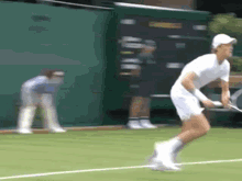jannik sinner dive tennis italia atp