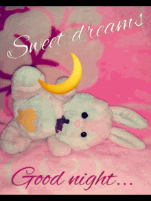 Sweet Dreams Good Night GIF - Sweet Dreams Good Night Bunny GIFs