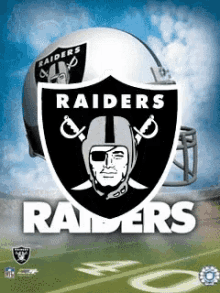 Raiders Nfl GIF - Raiders Nfl Oakland Raiders GIFs