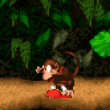 Diddy Diddy Kong GIF - Diddy Diddy Kong Donkey Kong GIFs
