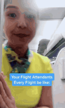 Flight Attendant Greeting Cute Flight Attendant GIF - Flight Attendant Greeting Flight Attendant Cute Flight Attendant GIFs