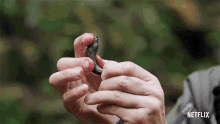 Eating Animals On The Loose GIF - Eating Animals On The Loose Food GIFs