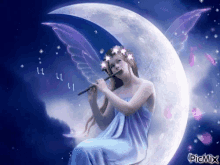 fantasy fairy moon