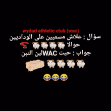 wydad wac raja sheep athletics