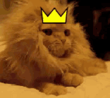 Im King GIF - King Royalty Imking GIFs