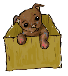 box little