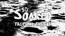 So Soaked Tropical Tropes GIF - So Soaked Tropical Tropes So GIFs