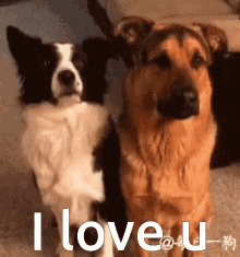 Love You Hugs GIF - Love You Hugs Dogs GIFs