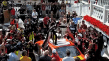 joey logano