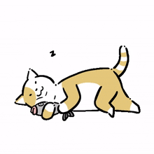 cute cozy