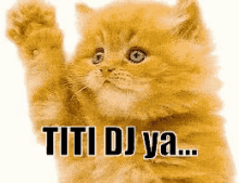 Titi Dj GIF - Kucing Hati Hati Di Jalan Lambai GIFs