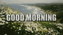 Good Morning Ocean GIF - Good Morning Ocean Flowers GIFs