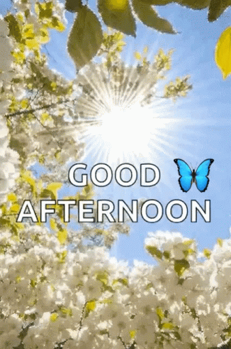 Good Afternoon Flowers GIF - Good Afternoon Flowers Sparkles - Discover ...