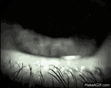 bites vampires