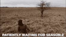 Sanditon Waiting GIF - Sanditon Waiting Fields GIFs