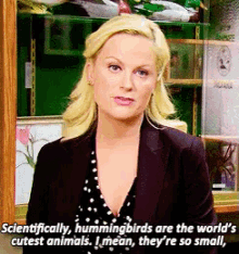 Sexy Little Hummingbird GIF - Parks And Rec Amy Poehler Leslie Knope GIFs