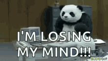 Wtf Panda GIF - Wtf Panda Beat Up Commercial GIFs